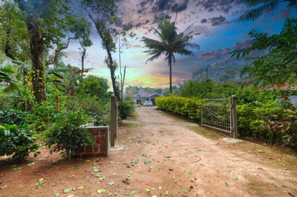 Driveway and garden at Galimale Homestay