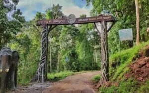 Bhadra Wildlife Sanctuary gate