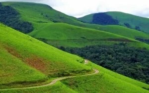 Kemmangundi greenery